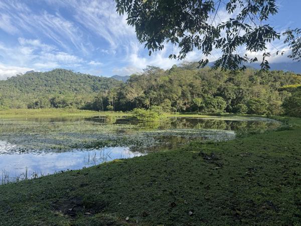 Het meertje bij de REGUA lodge